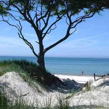 Baumann Haus * Ostseeheilbad Zingst
